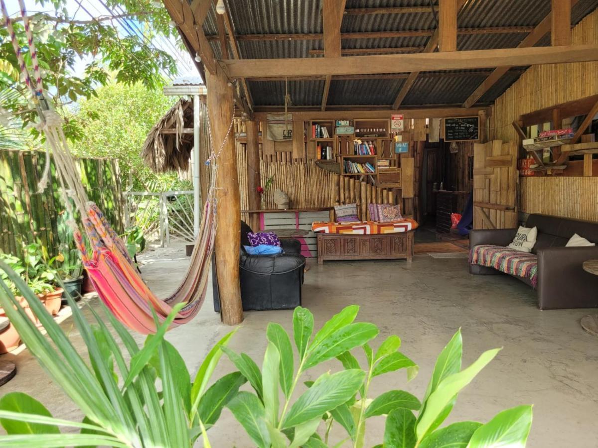 Hostel Roots Family Puerto Viejo de Talamanca Zewnętrze zdjęcie