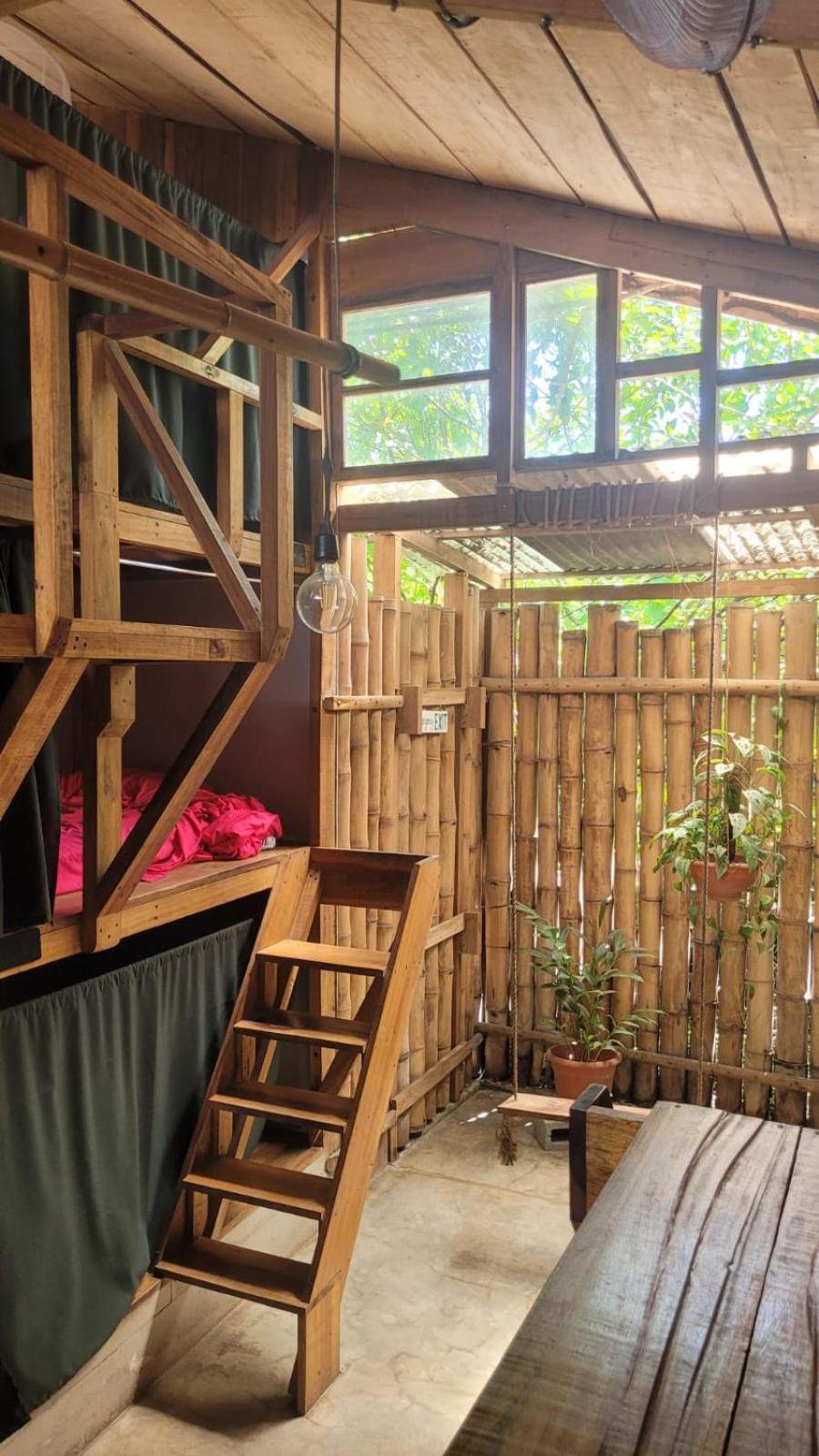 Hostel Roots Family Puerto Viejo de Talamanca Zewnętrze zdjęcie