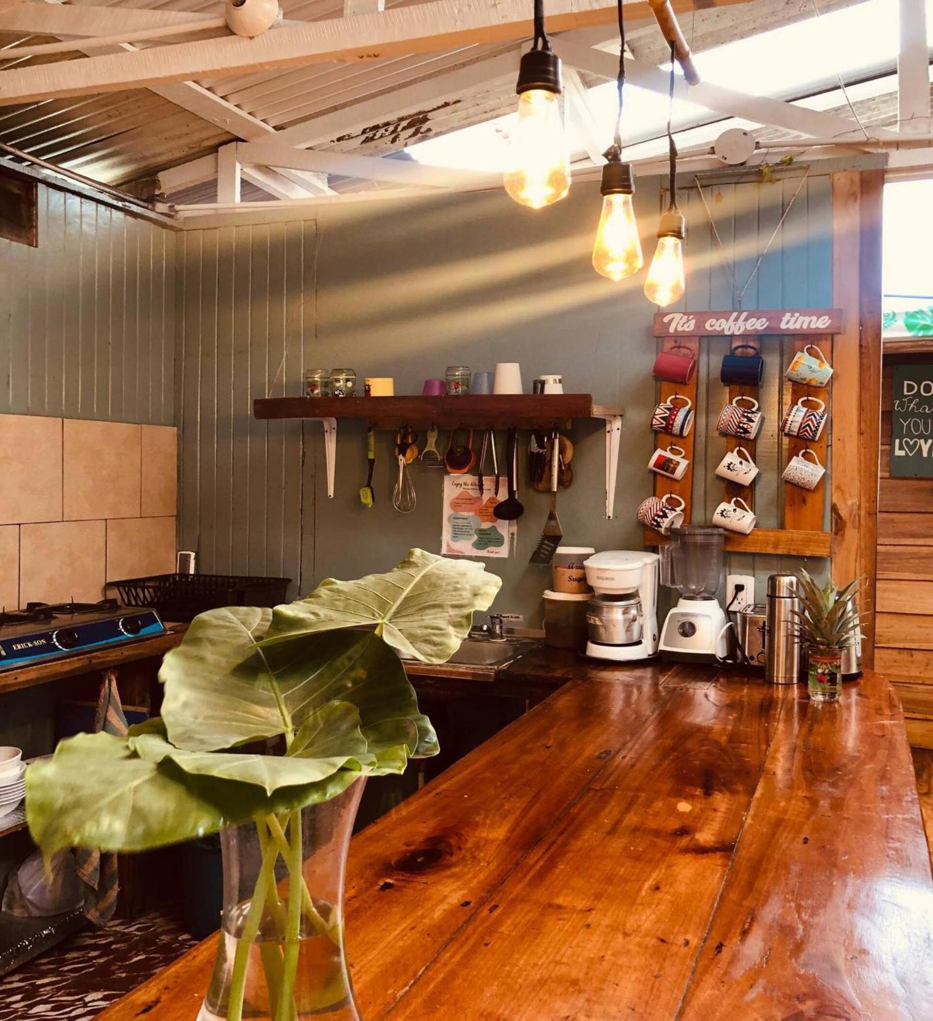 Hostel Roots Family Puerto Viejo de Talamanca Zewnętrze zdjęcie