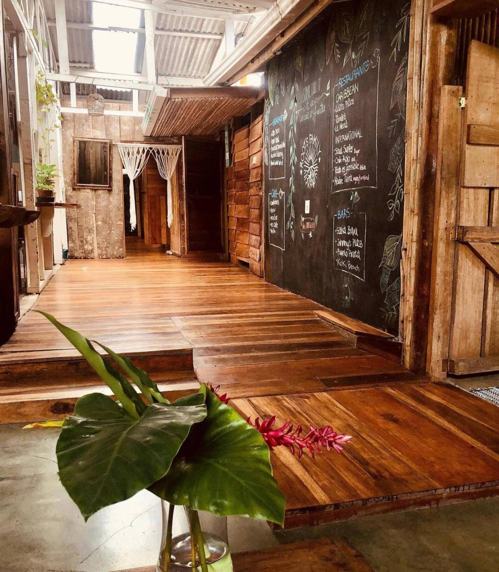Hostel Roots Family Puerto Viejo de Talamanca Zewnętrze zdjęcie