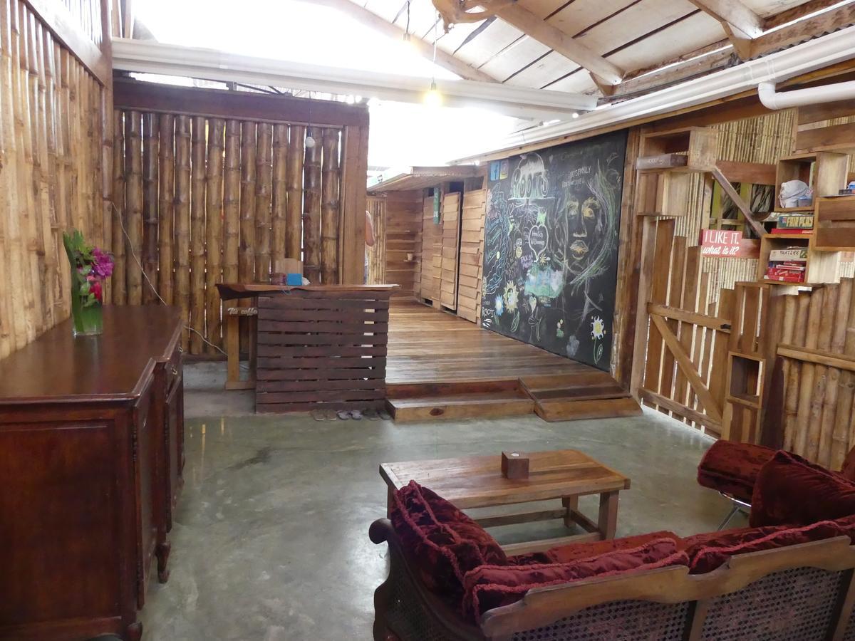 Hostel Roots Family Puerto Viejo de Talamanca Zewnętrze zdjęcie